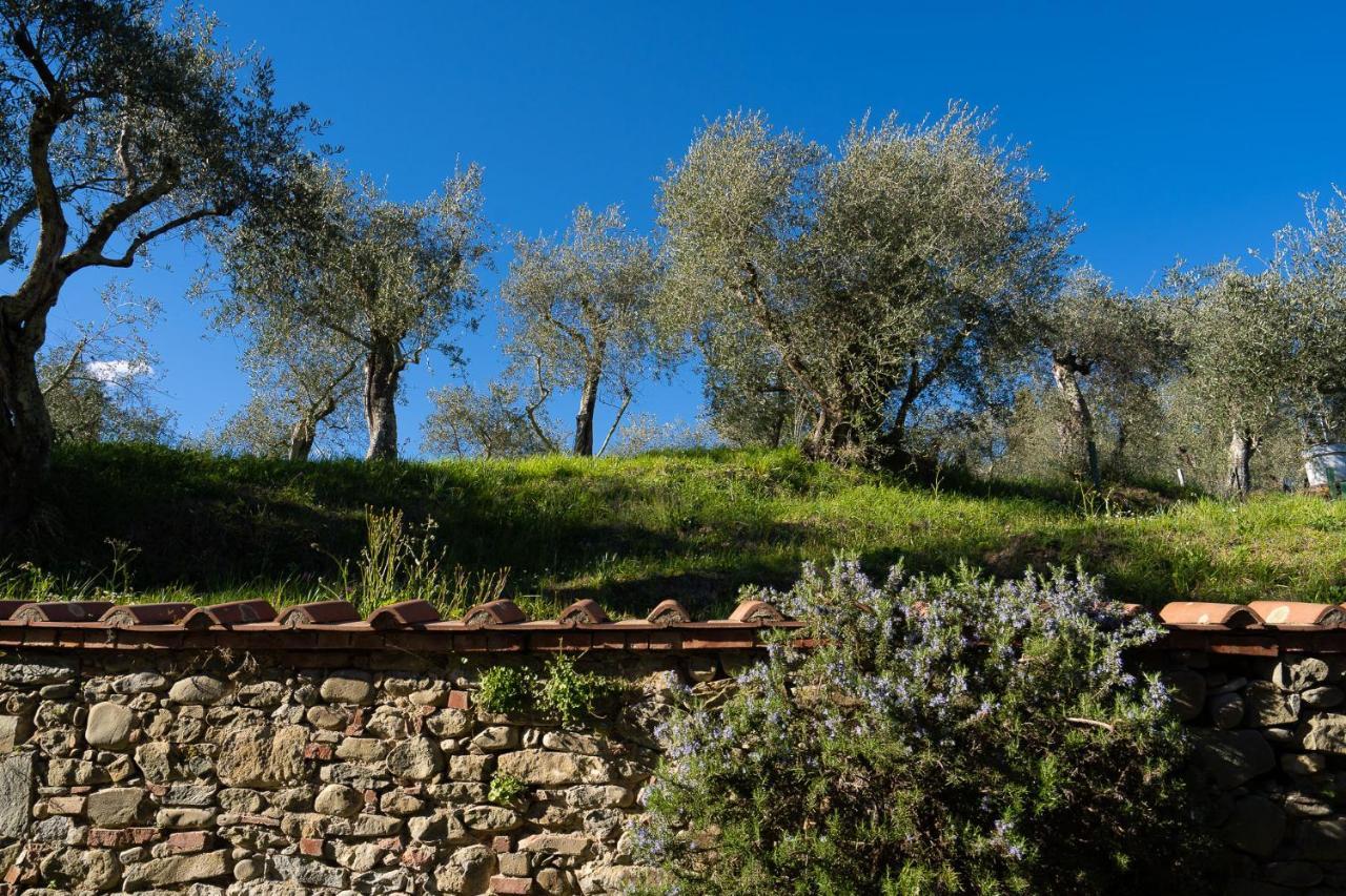 Alloggi In Villa Storica Pescia Luaran gambar